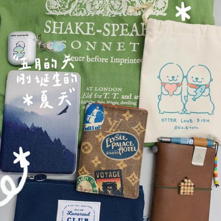 Wholesale Passport holder with box LOV #A0744 - Image 4
