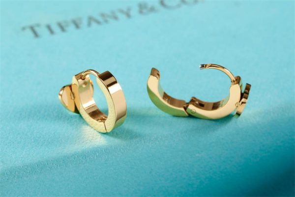 Wholesale Fashion High quality Earrings TIY #A0488