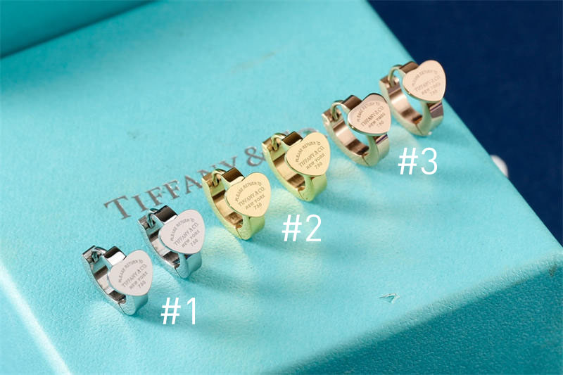 Wholesale Fashion High quality Earrings TIY #A0488