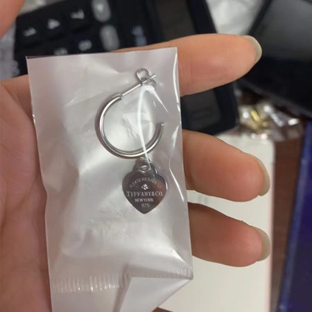 Wholesale Fashion High quality Earrings TIY #A0770