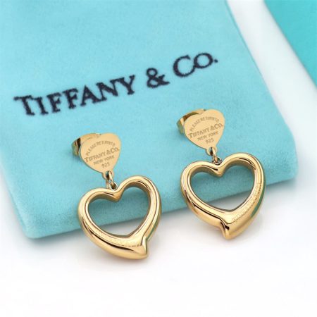 Wholesale Fashion Earrings TIY HYZ #A6261