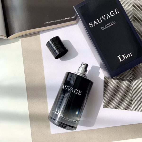 Wholesale perfume for men with box 100ml DIR #C0304