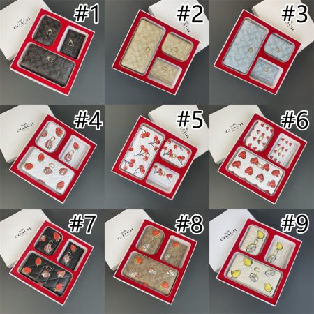 Wholesale combination bag set with box COH PH #X0766