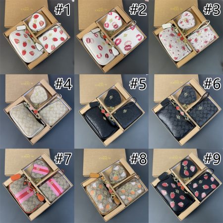 Wholesale combination bag set with box COH PH #X0768