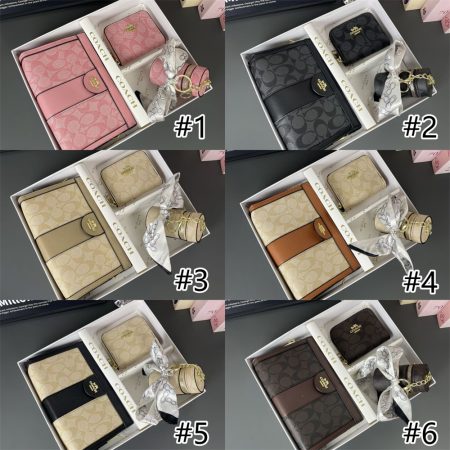 Wholesale combination bag set with box COH PH #X0769