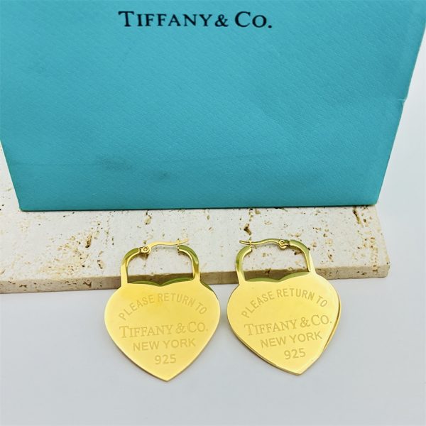 Wholesale Fashion Earrings TIY XT #X1271