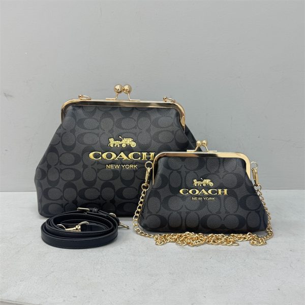 Wholesale fashion combination bag set COH PH #X1462