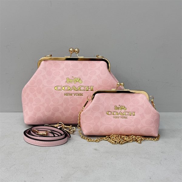 Wholesale fashion combination bag set COH PH #X1462