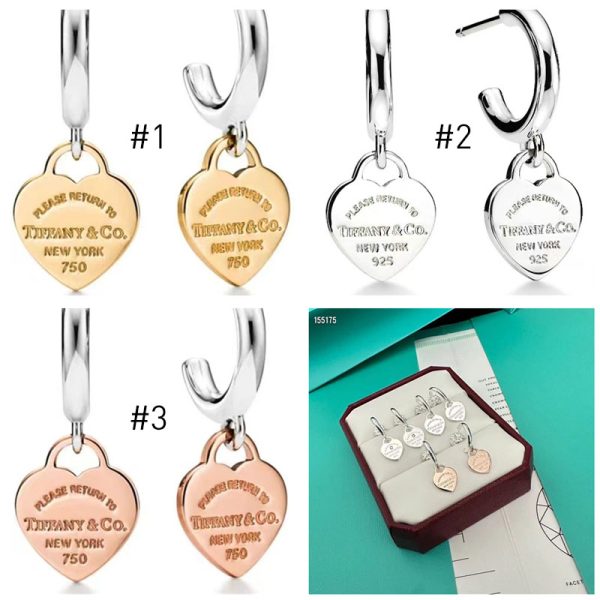 Wholesale Fashion Earrings TIY HYZ #A2586