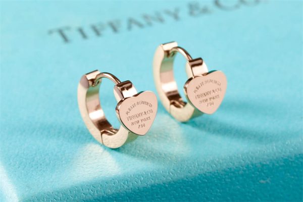 Wholesale Fashion High quality Earrings TIY #A0488