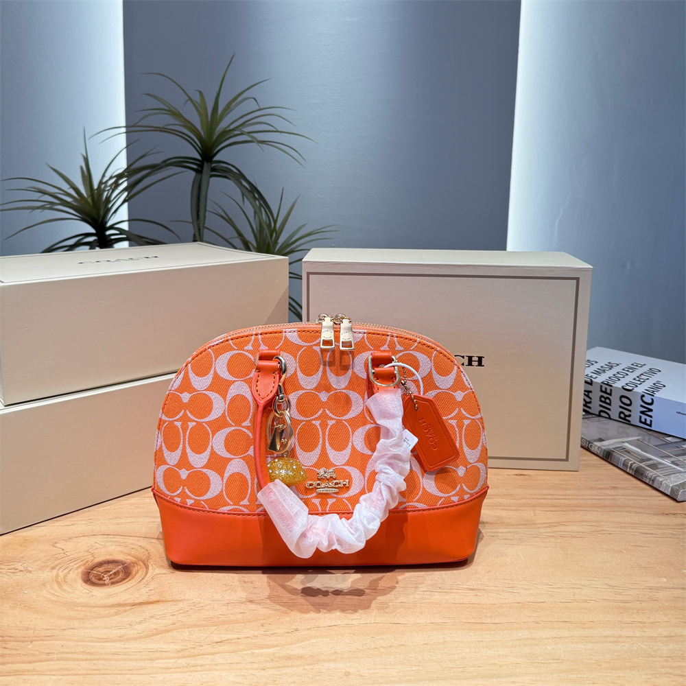 High quality shell bag size:24.5*19cm COH #Z0794 - Image 2